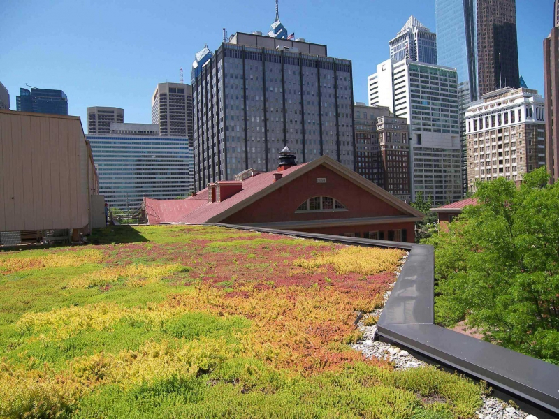 paysagiste-VALDEBLORE-min_green-roof-portfolio-4